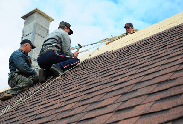 Best Roof Maintenance Services  in Benwood, WV